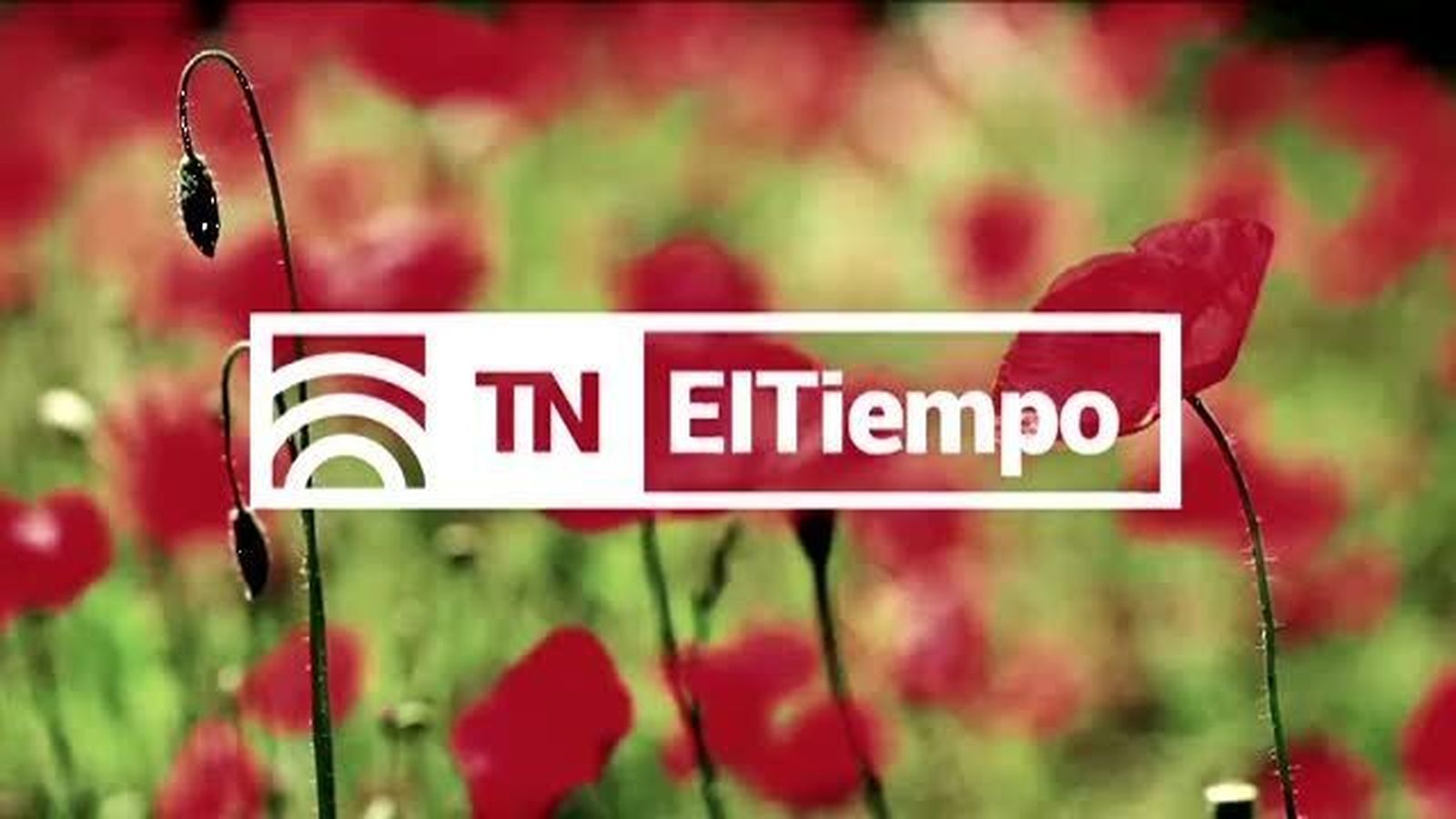 El Tiempo 2 15.07.2018