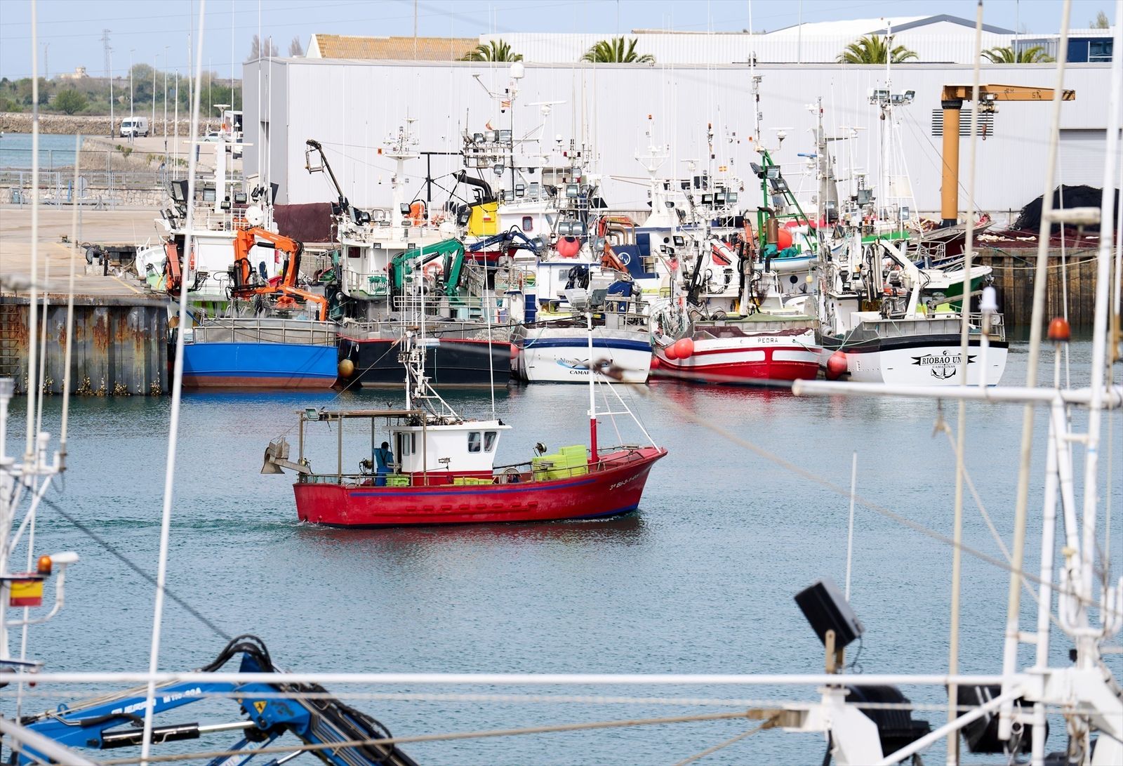 cuota de pesca