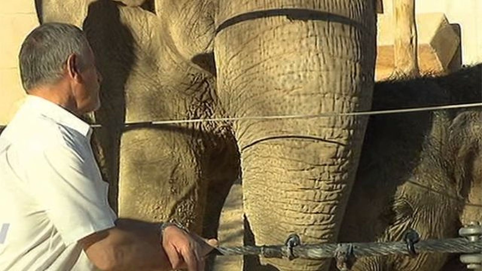 Mario el cuidador del Zoo más veterano se jubila