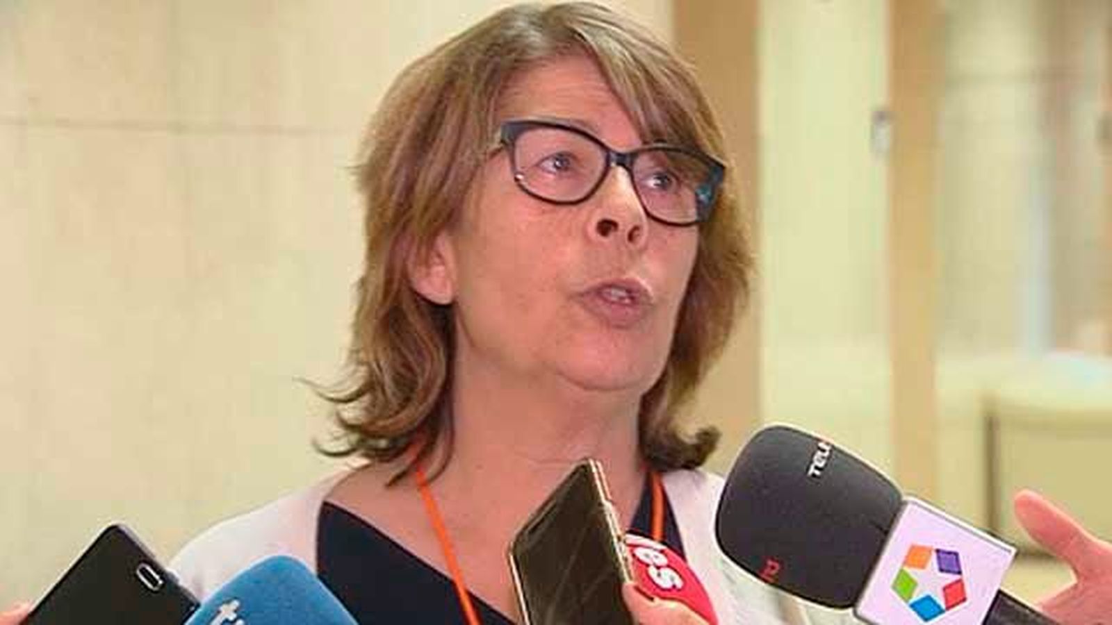 Sabanés pide que los vehículos muestren obligatoriamente sus etiquetas de contaminación