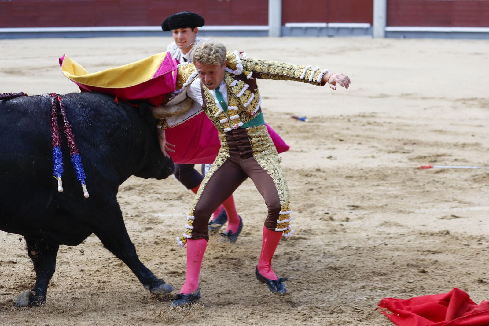 Clemente Domeq