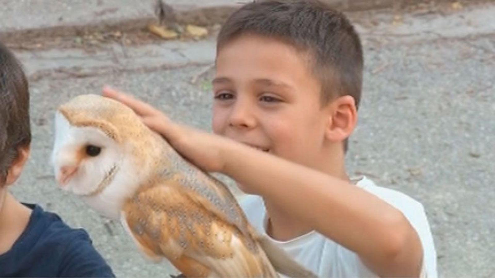 Terapia con aves rapaces para niños discapacitados