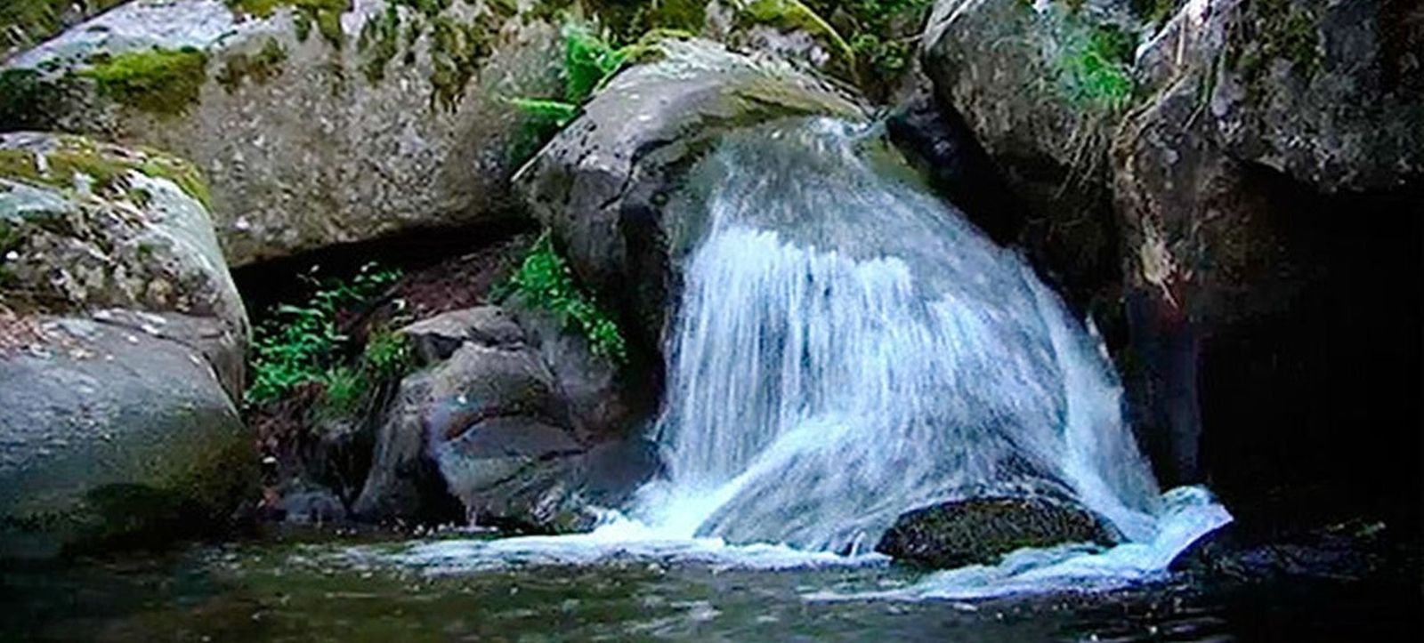 Valle de lozoya