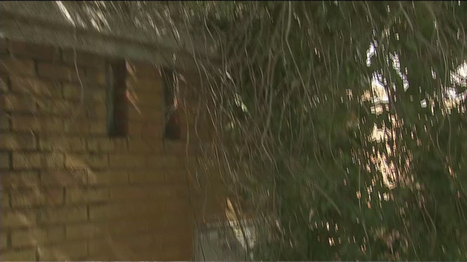 Una vecina de Moratalaz no se atreve a coger su silla de ruedas por miedo a que le caiga la rama de un árbol