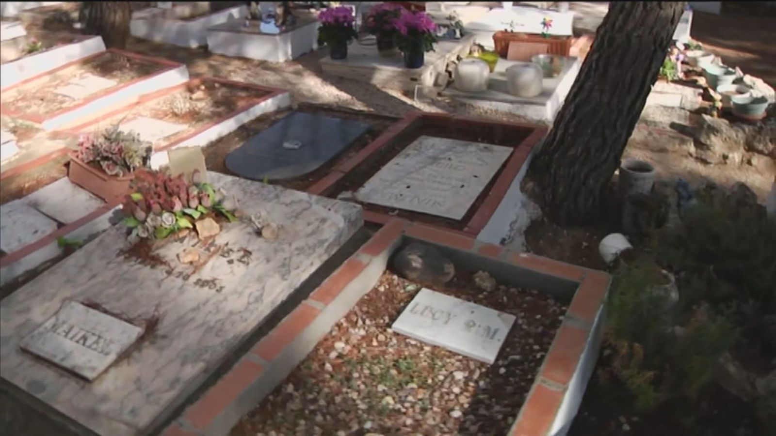 El único cementerio de mascotas de Madrid está en Arganda del Rey: visitamos 'El último parque'