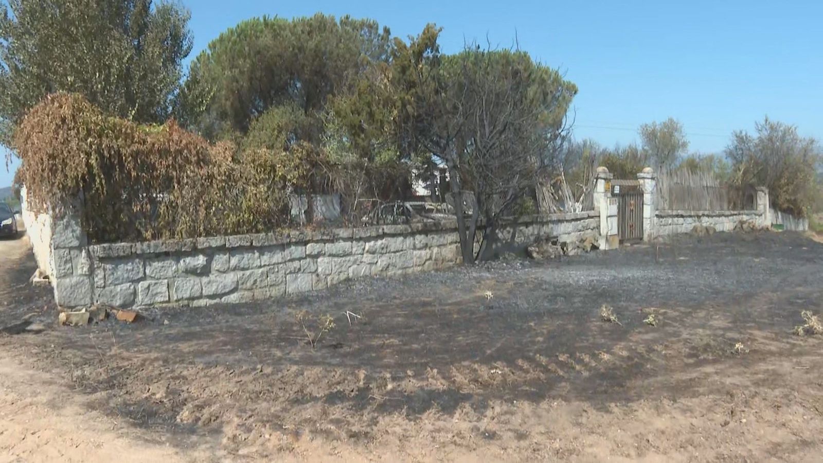Investigan las causas del incendio forestal en El Molar: todo apunta a una posible negligencia