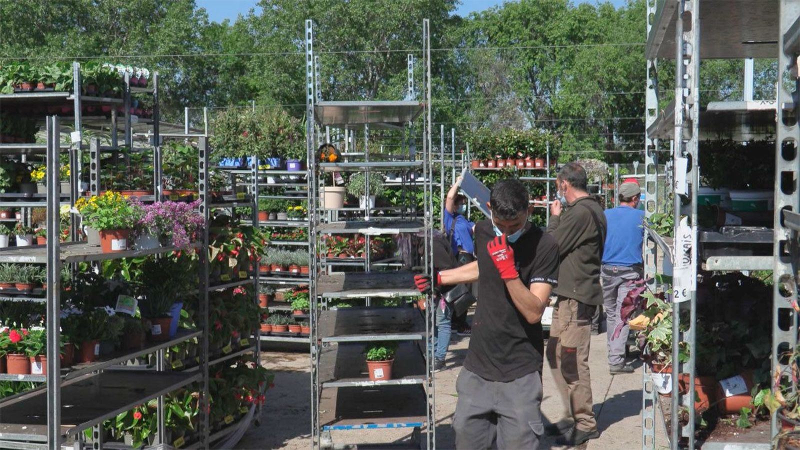 La primavera 'pos-Filomena' incrementa un 5% las ventas de plantas con flor