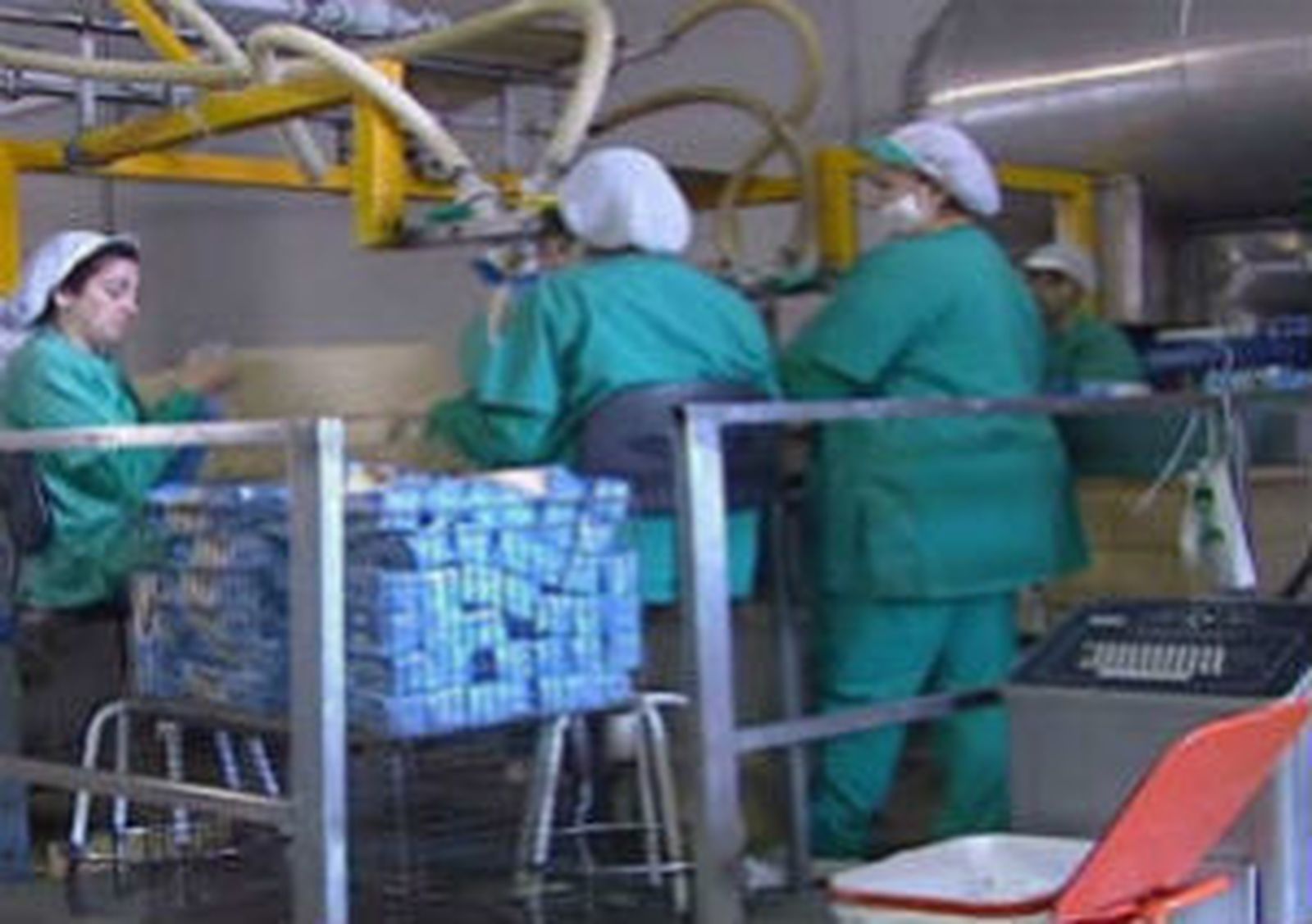 trabajadores_fabrica27