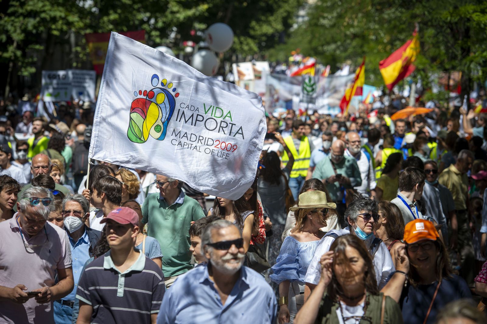 Miles de personas salen a la calle para defender la vida contra la ley del aborto
