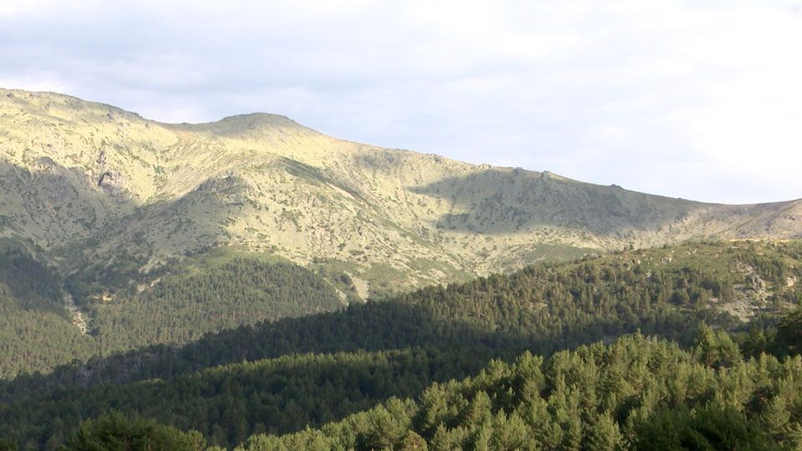 Mi cámara y yo : Guadarrama, un Parque Nacional