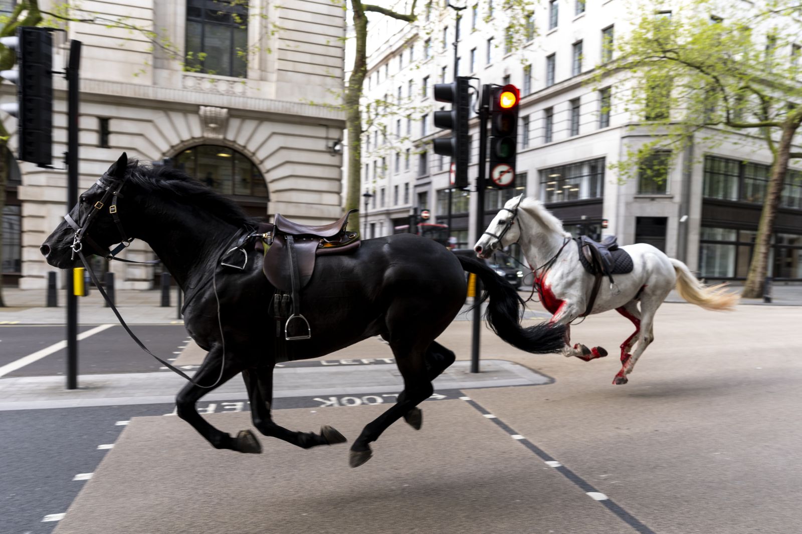 Caballos del Ejército siembran el caos en Londres