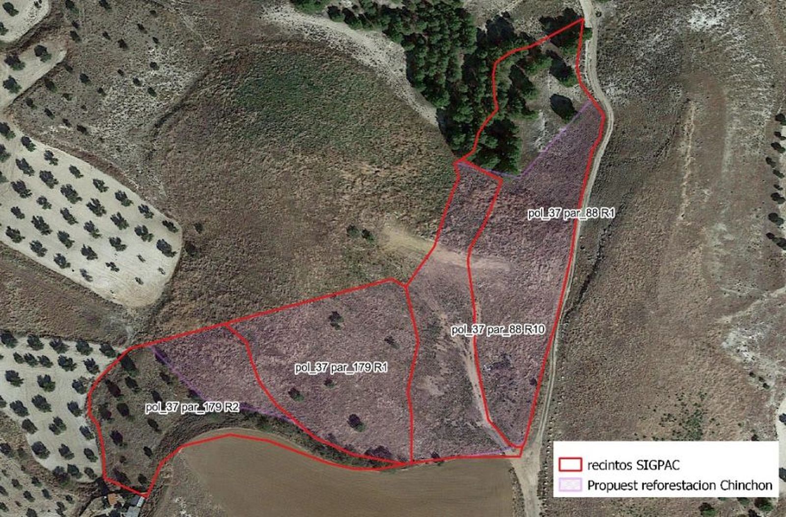 Zonas propuestas para la reforestación en Chinchón