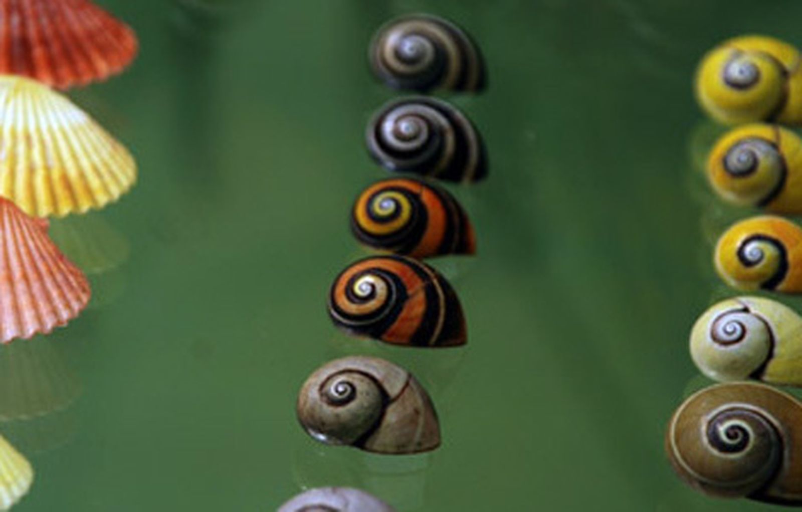 biodiversidad