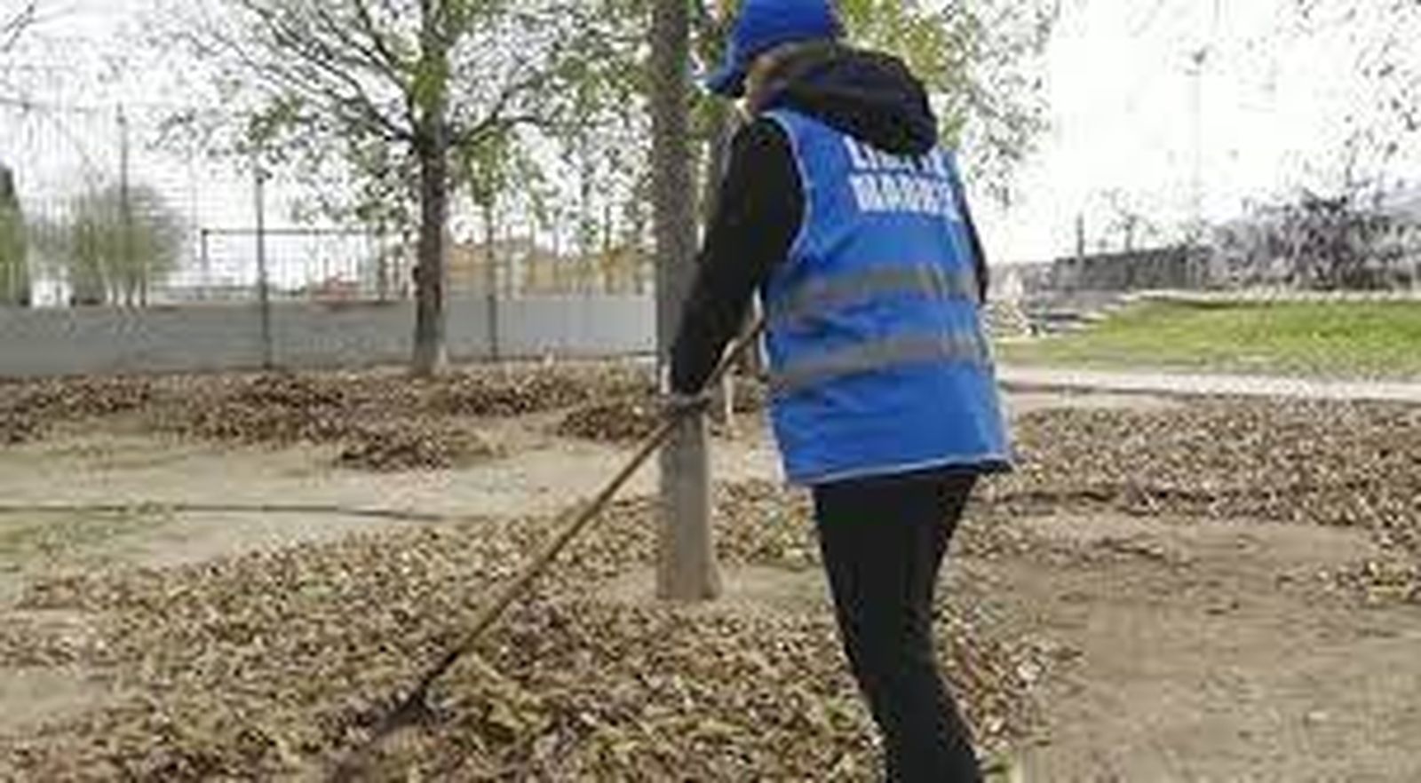 Una persona limpia un parque para conmutar la multa impuesta