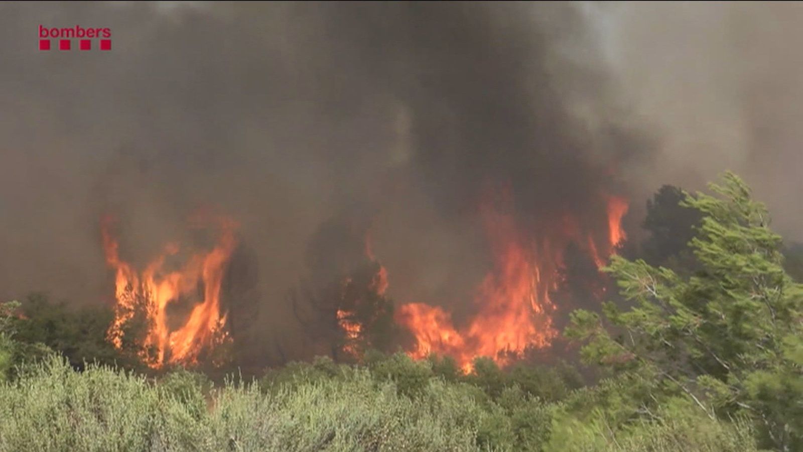 Una jueza investiga las causas del fuego de Tarragona, que continua activo