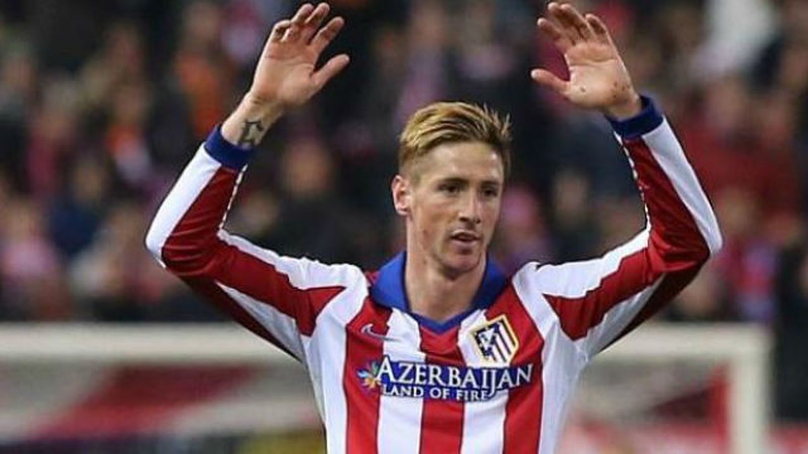 Fernando Torres