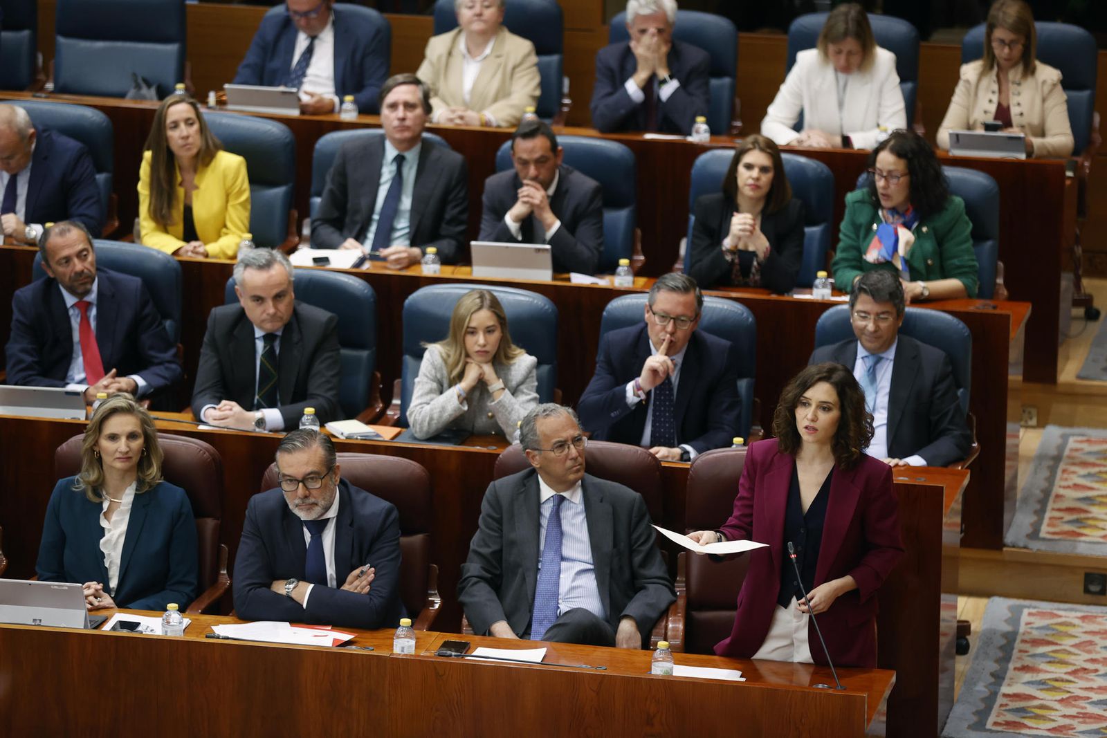 Isabel Díaz Ayuso en la Asamblea de Madrid