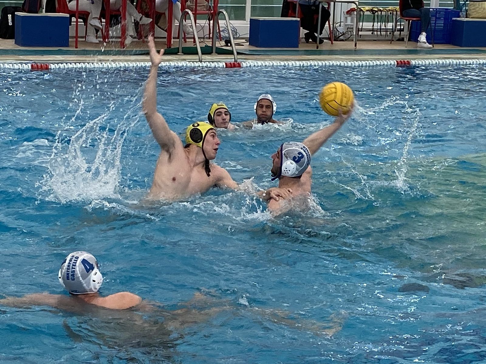 Waterpolo Brains