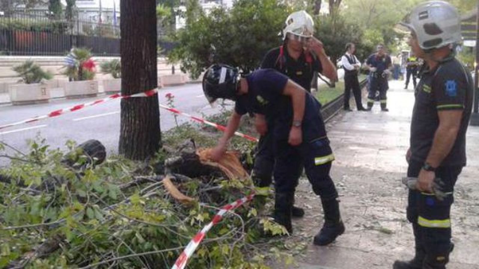 Tres heridos, uno grave, tras caer una rama de un árbol sobre la terraza de un bar en Madrid