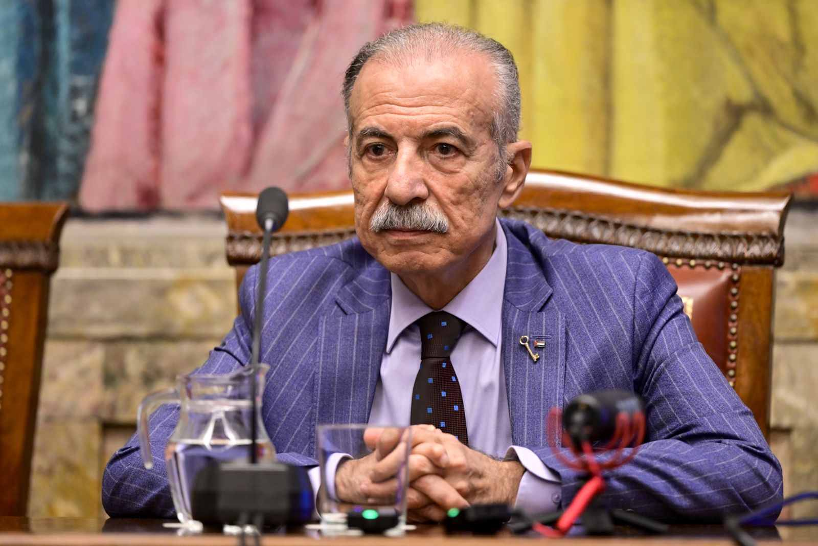 Husni Abdel Wahed