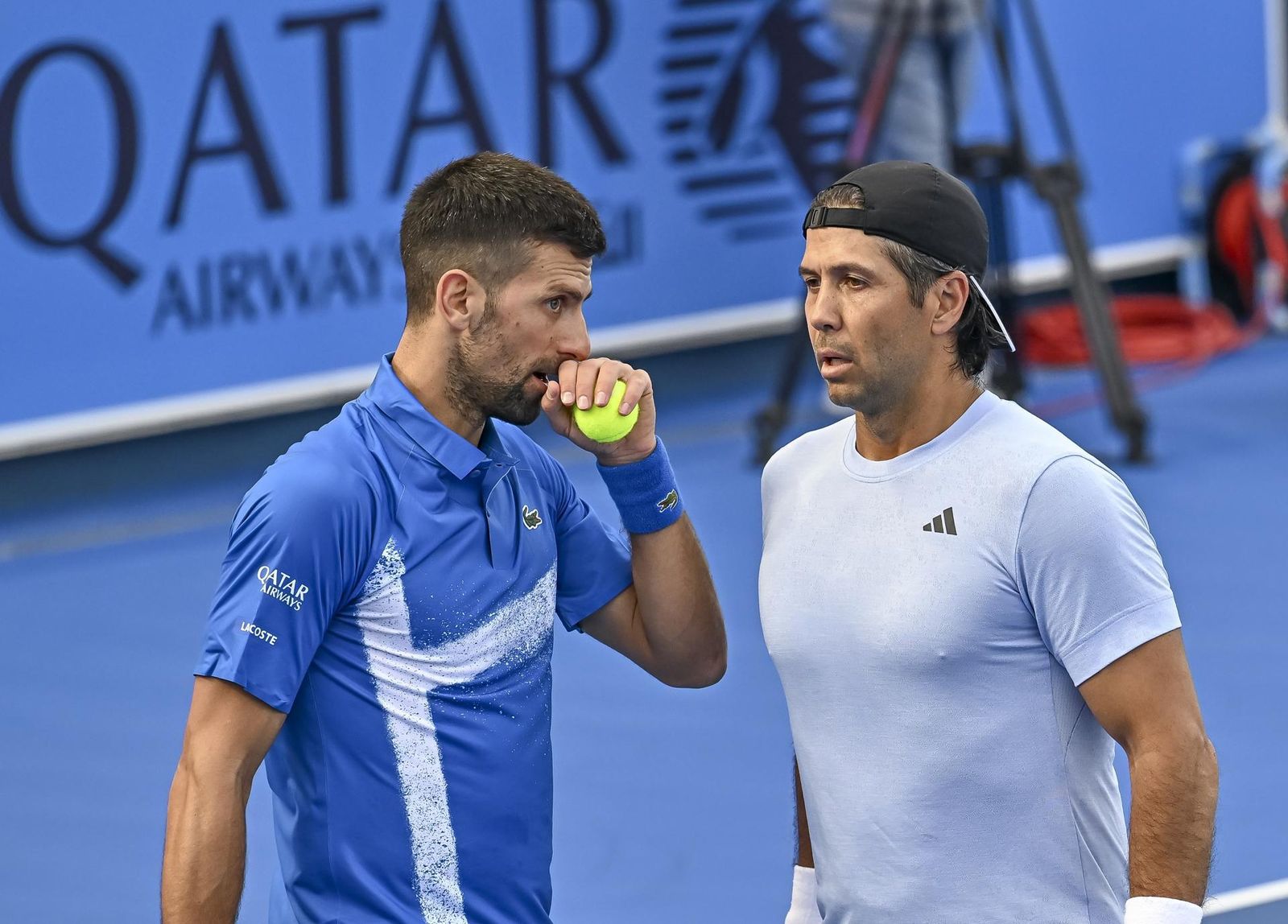 Djokovic y Fernando Verdasco