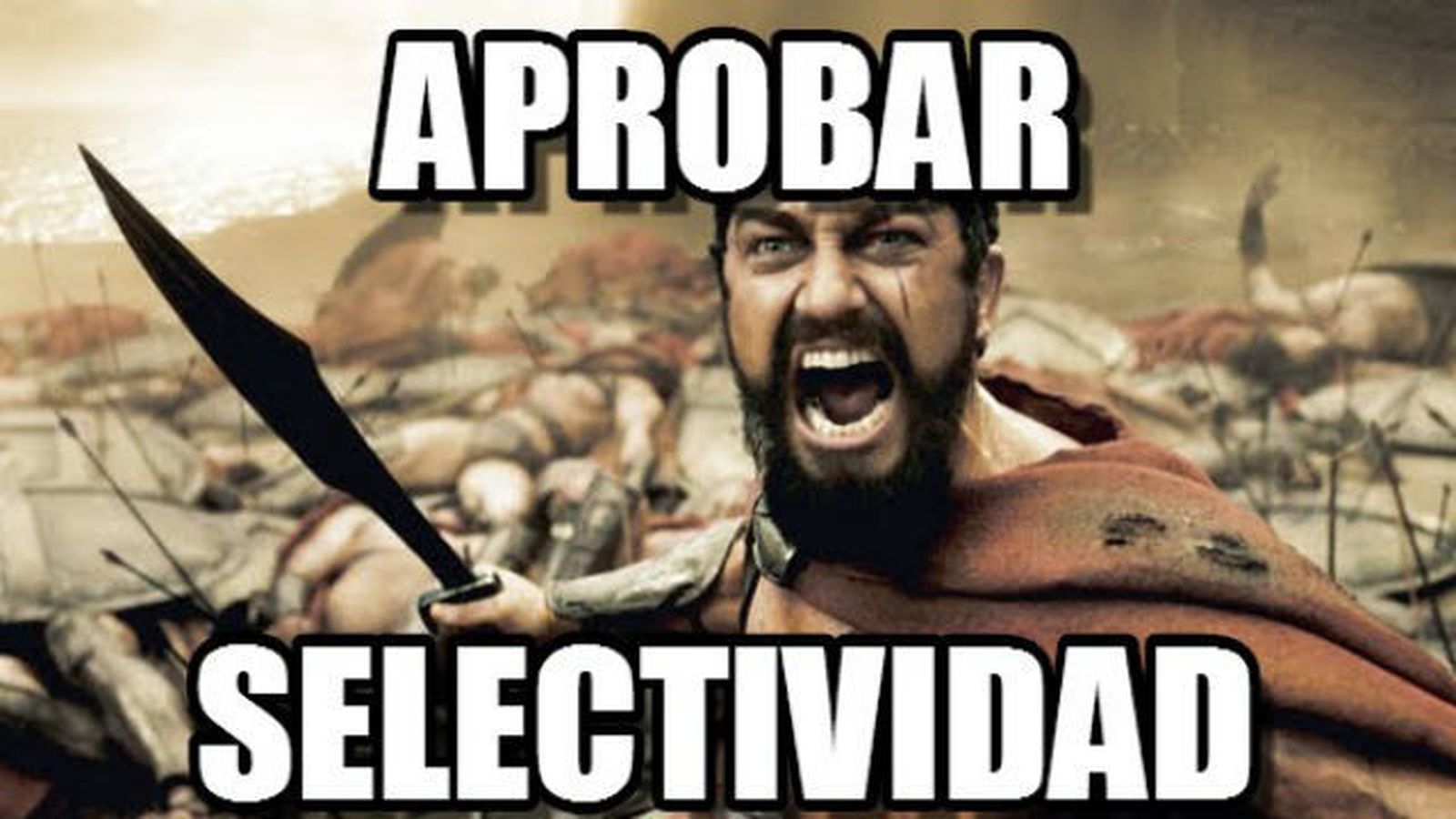 Meme Selectividad