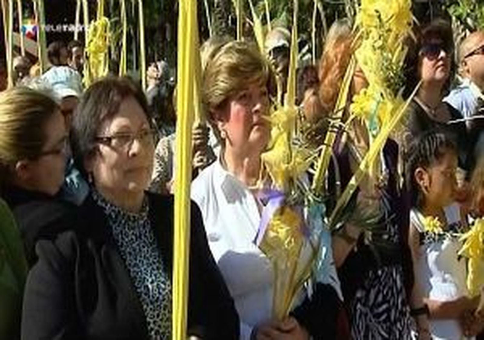 Domingo de Ramos