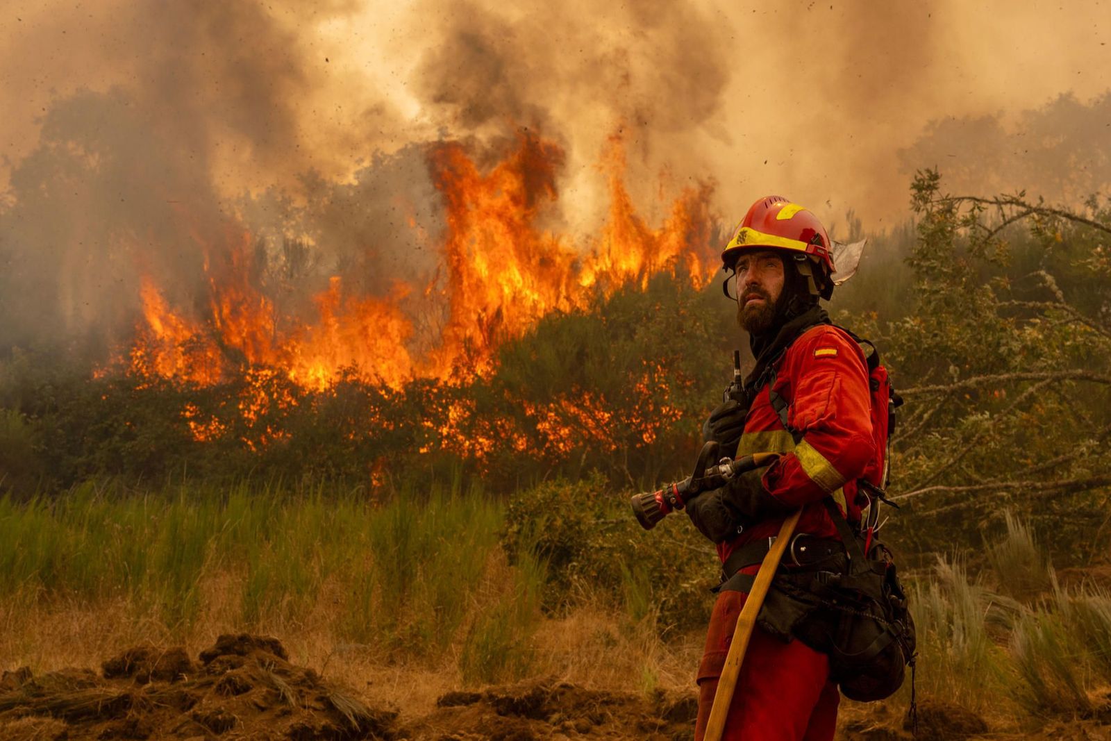 Un vecino de Chandrexa de Queixa: "Está ardiendo toda la montaña de Orense. No va quedar nada"