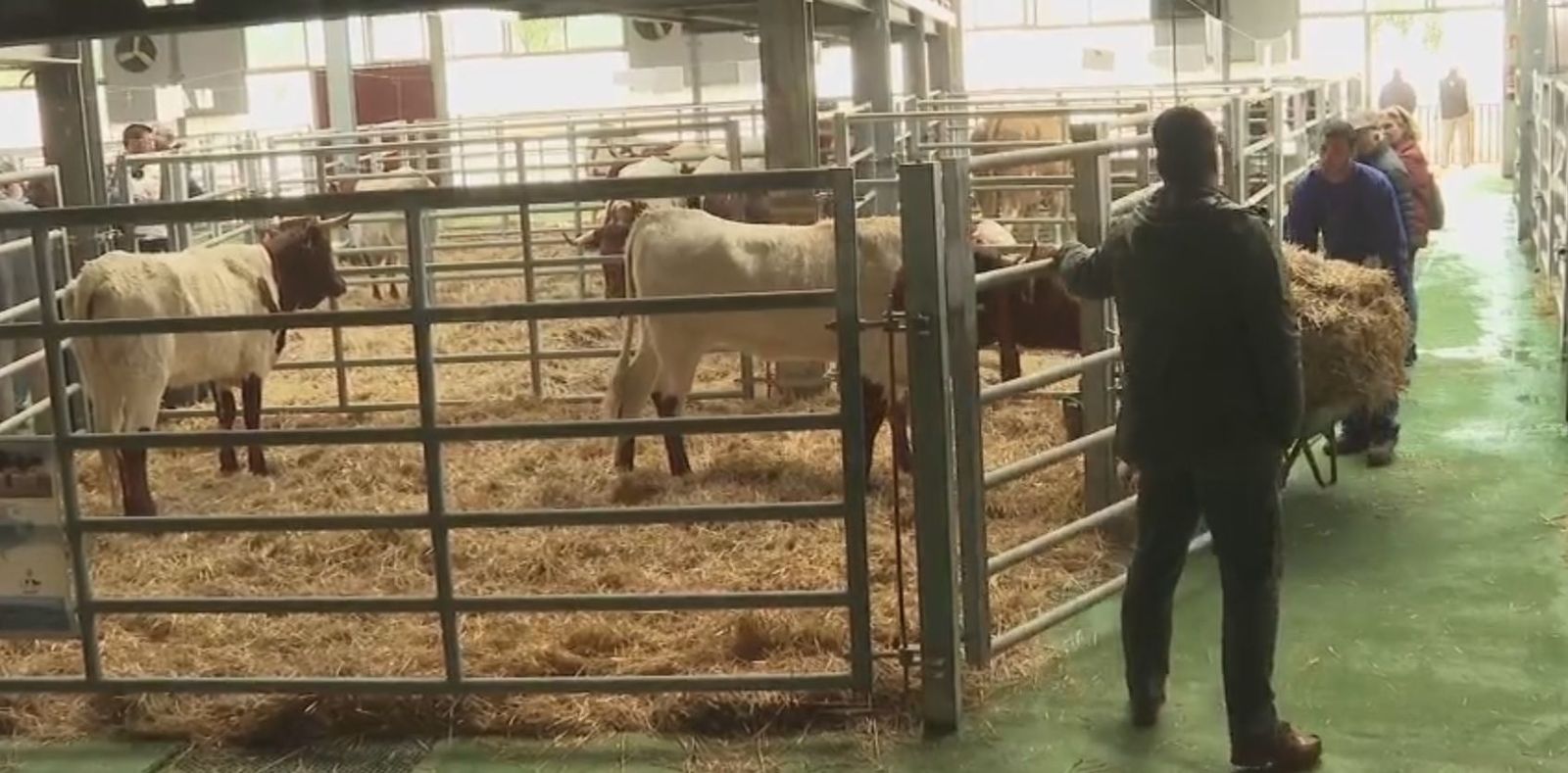 La Despensa de Madrid y la Subasta Nacional de Ganado Selecto se dan cita en Colmenar Viejo