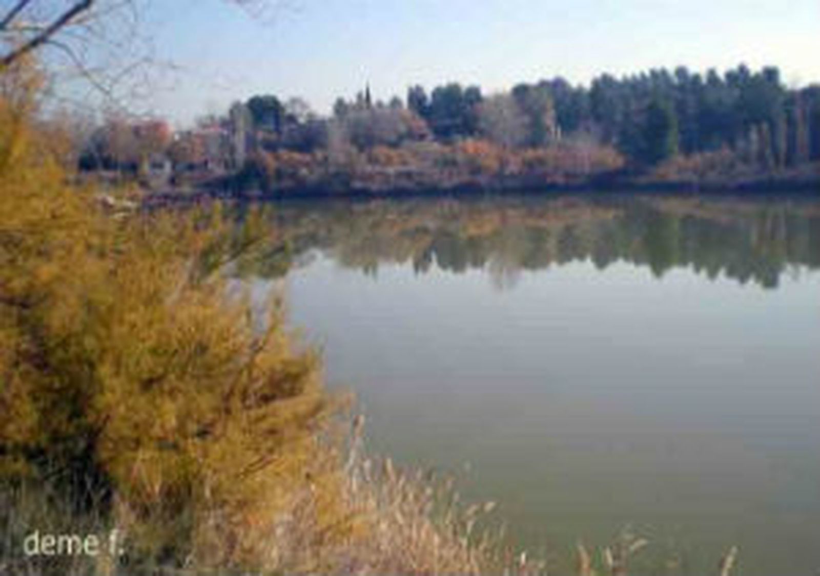 Laguna