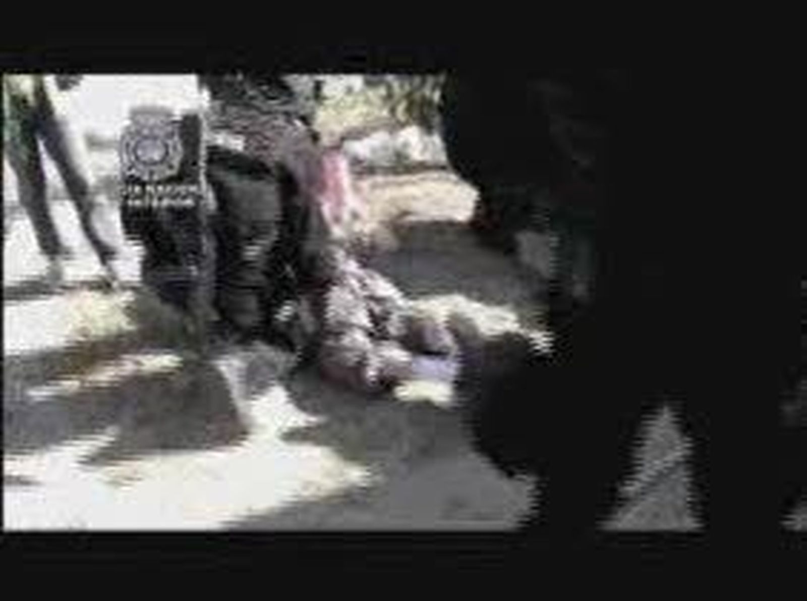cocaina_operacion_2010730V0.wmv