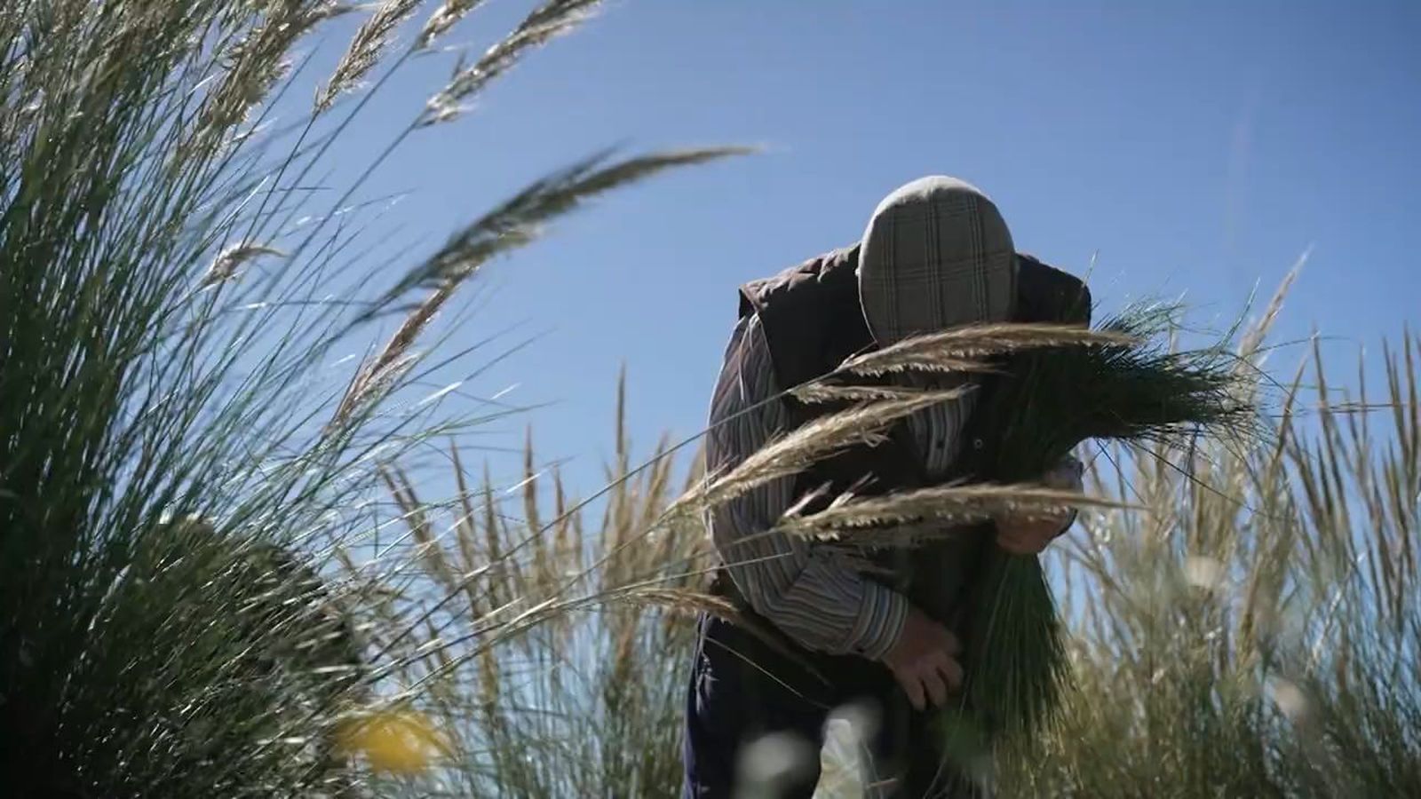 El renacer del esparto en Villarejo de Salvanés: de las cuerdas del campo a las galerías de arte contemporáneo