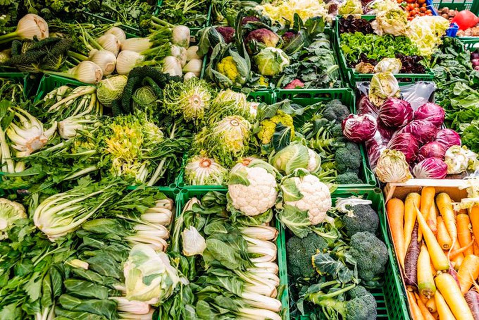 Productos agricolas