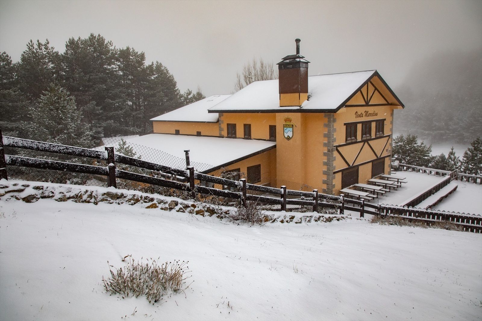 Nieve en el Puerto de Cotos