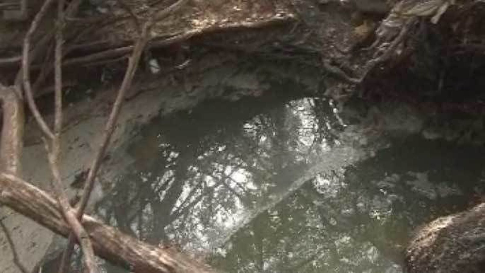 Denuncian un vertido de aguas fecales en un riachuelo en Las Rozas