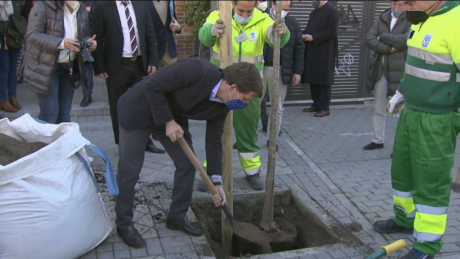 Inspeccionadas más de 5.000 calles madrileñas para ver si es viable sustituir los árboles que eliminó ‘Filomena’