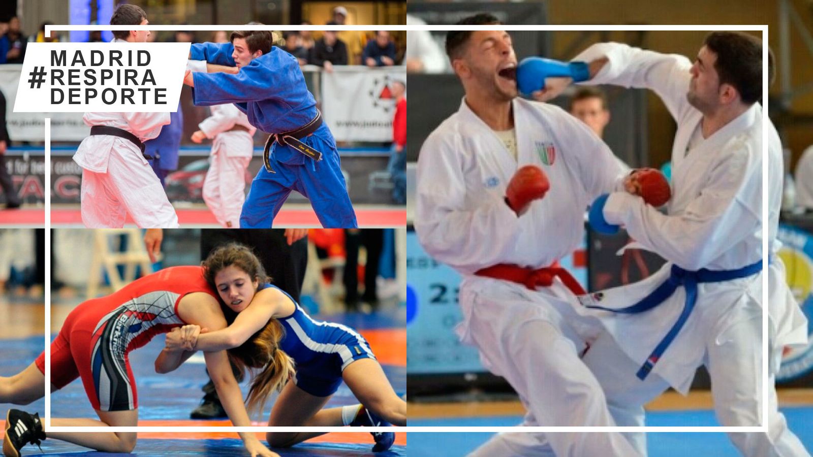 Judo, kárate y lucha