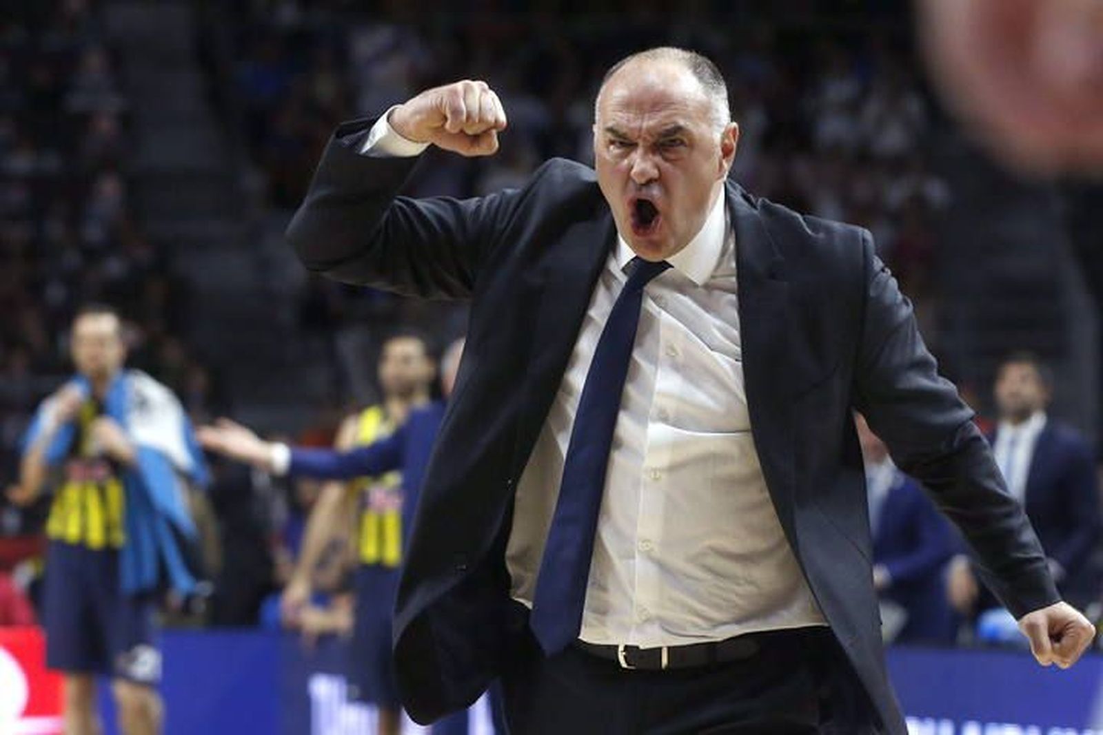 Pablo Laso renueva con el Real Madrid hasta el 2023