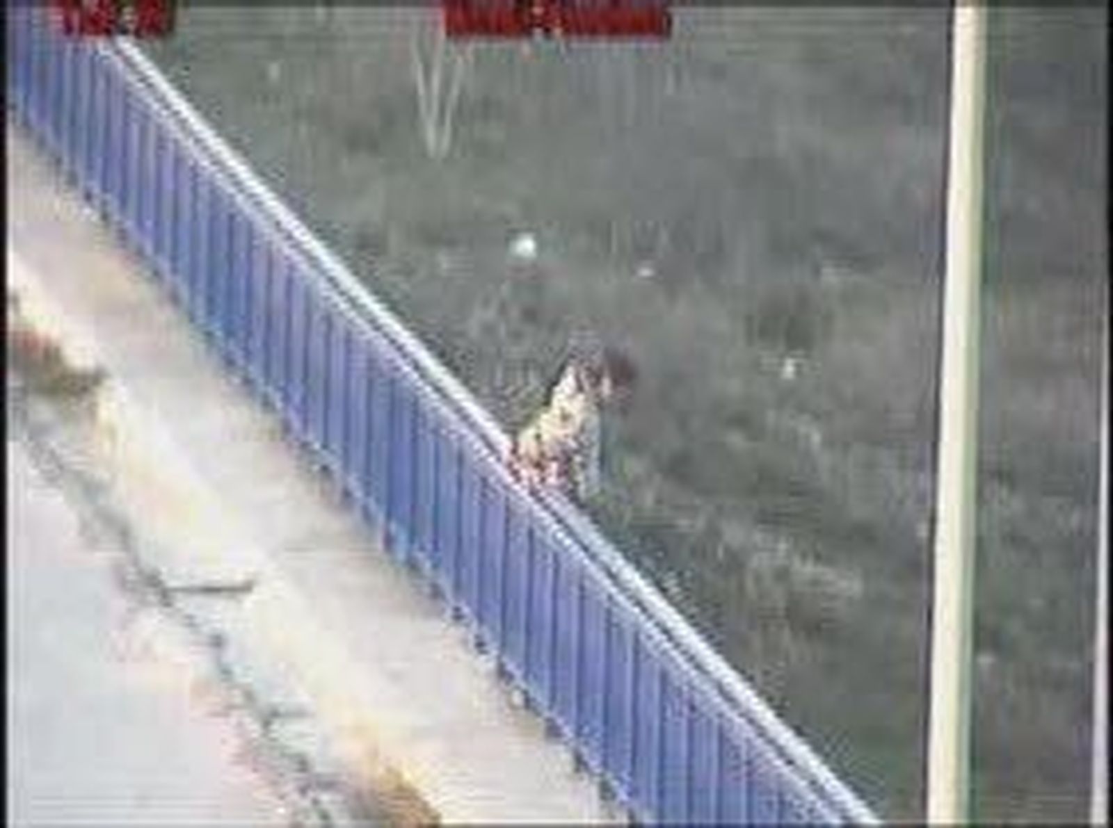TORREJON_2011121V0.wmv