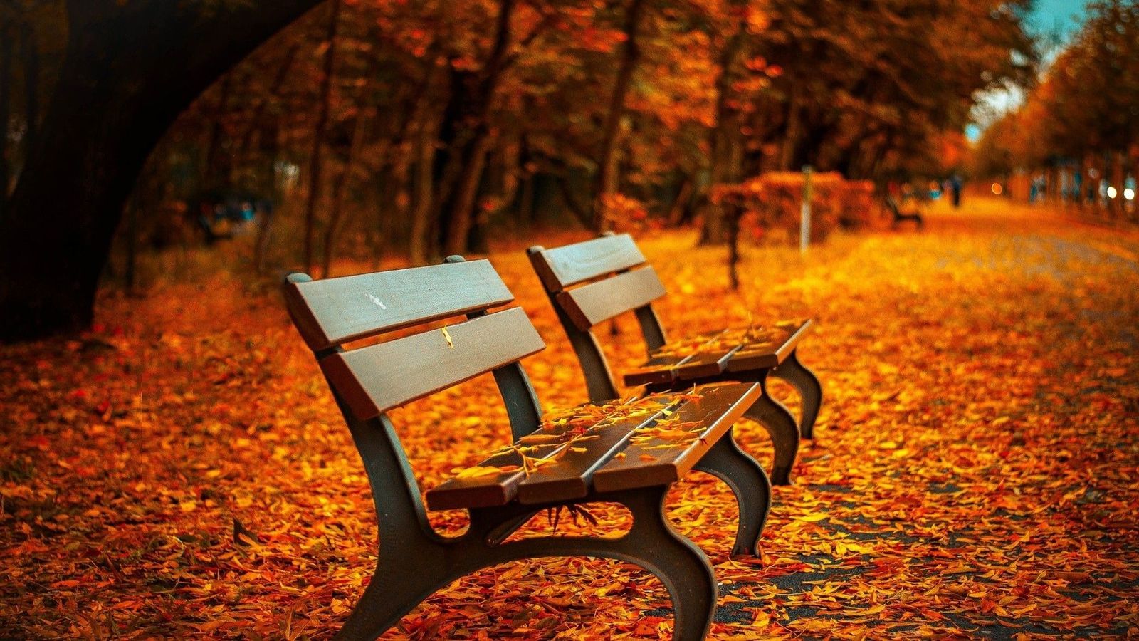Pautas para entrar con buen pie en otoño