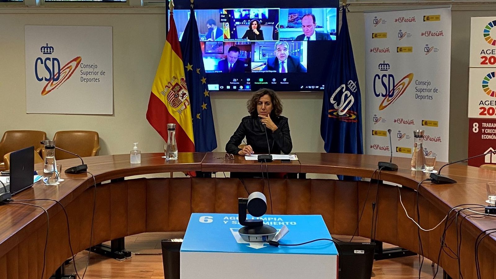 Irene Lozano