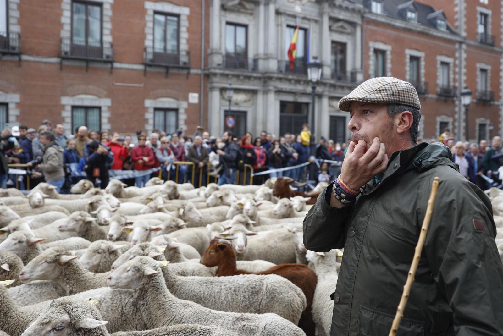 Fiesta de la Trashumancia