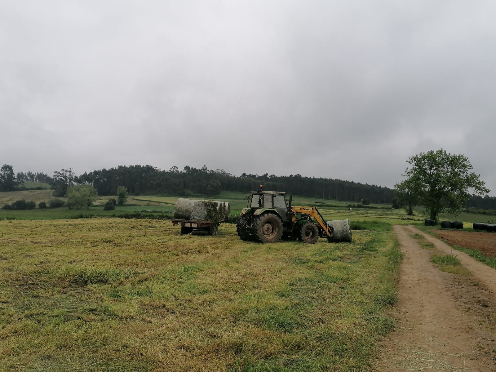 Maquinaria en zona agrícola