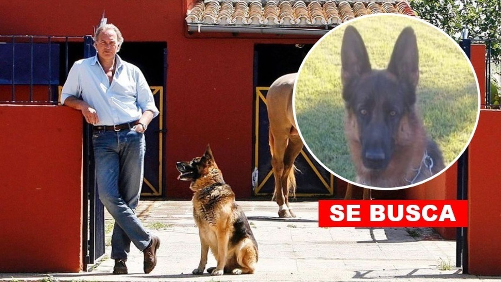 Bertín busca a su perro