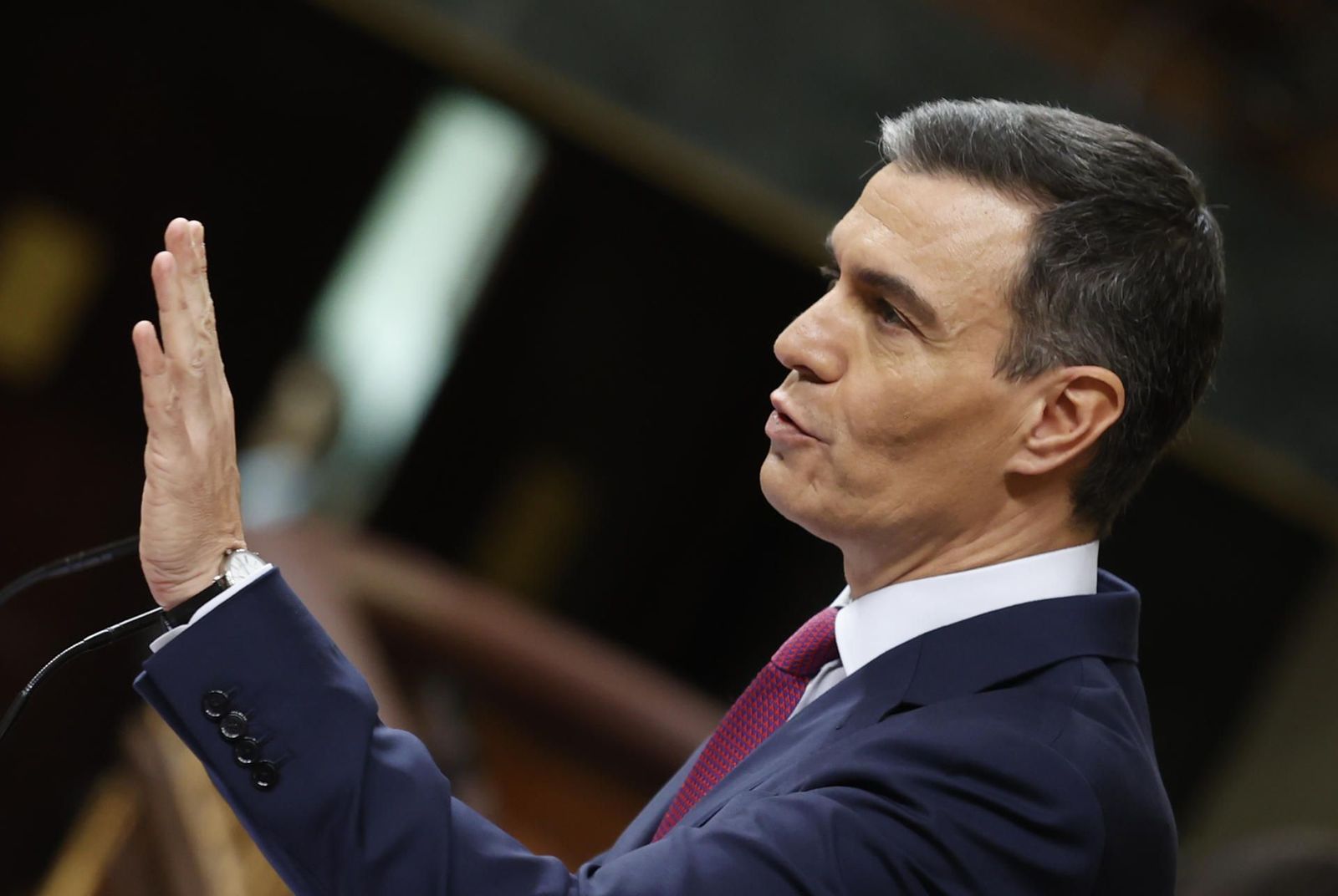 Sánchez basa su discurso de investidura en atacar a la "derecha retrógrada"