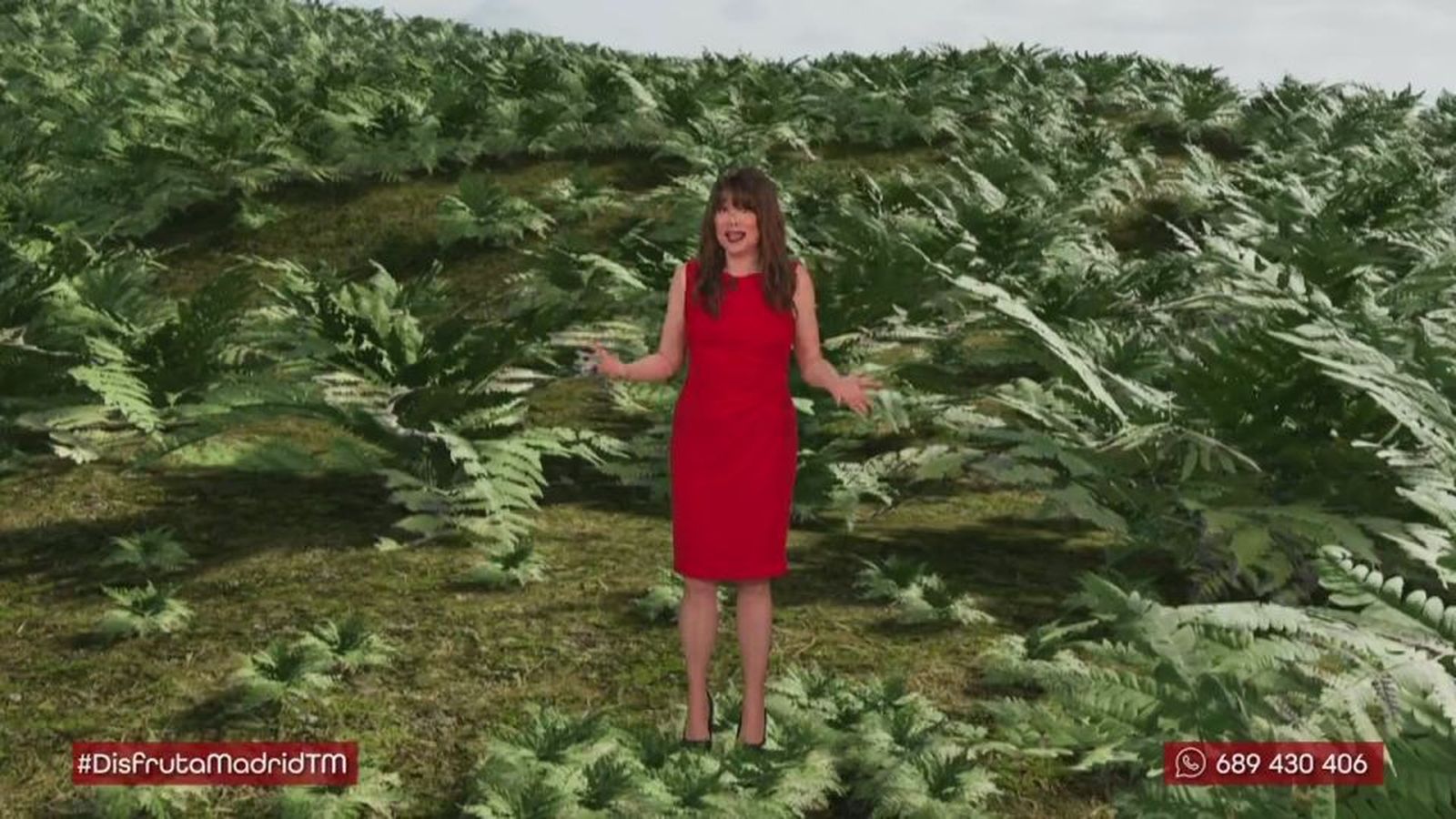 ¿Cómo se formaron los bosques de la Comunidad de Madrid?