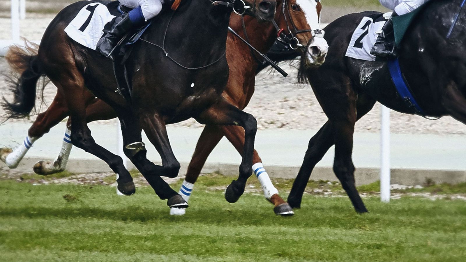 El Hipódromo de la Zarzuela inaugura nueva temporada
