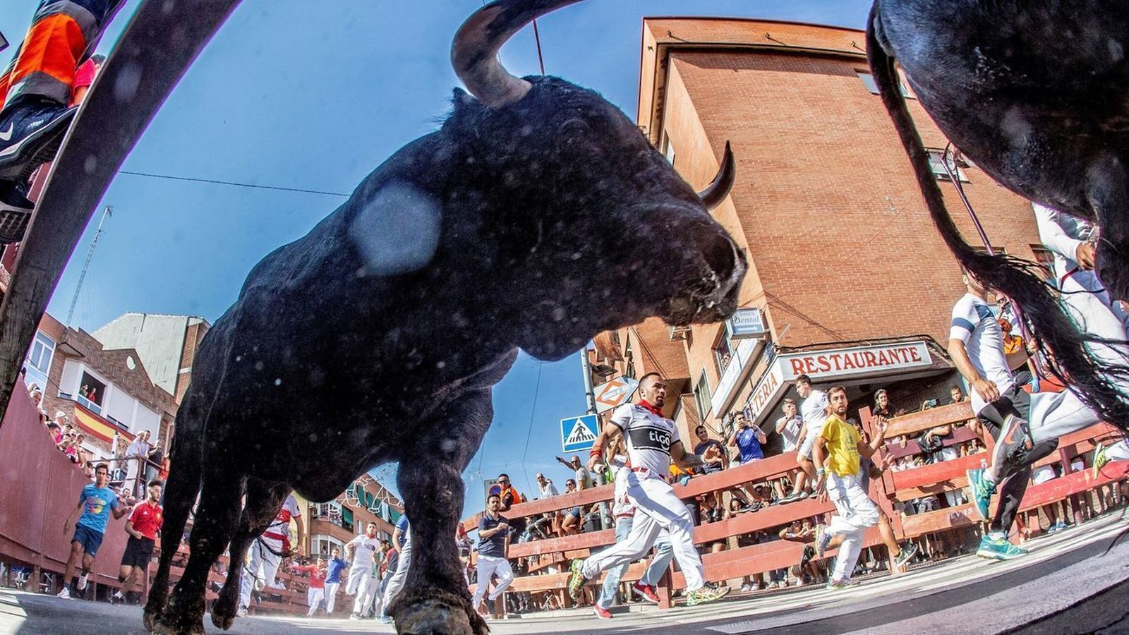 San Sebastián propone un protocolo especial para poder celebrar sus encierros taurinos