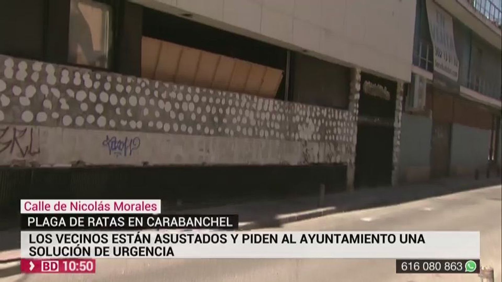 Plaga de ratas en Carabanchel: hasta 21 ratas en 4 metros de acera
