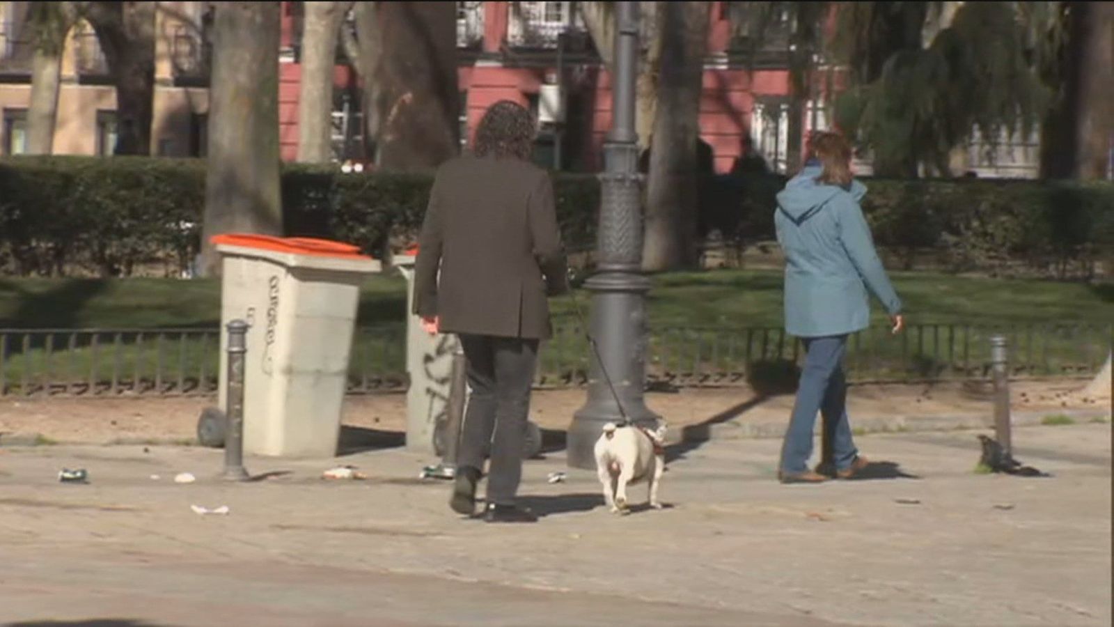 ¿Puedo pasear a mi perro durante el toque de queda?